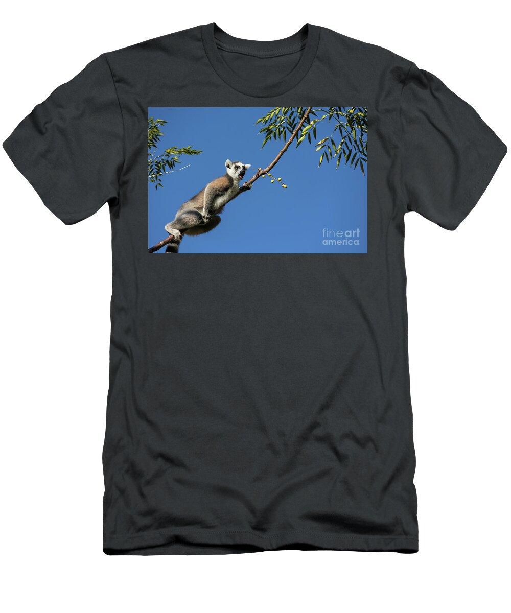 Ring Tailed Lemur Eva Lechner T-Shirt