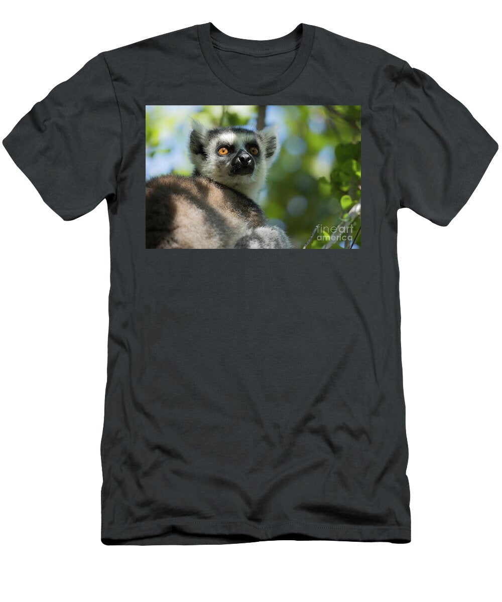 Ring Tailed Lemur Portrait Eva Lechner T-Shirt